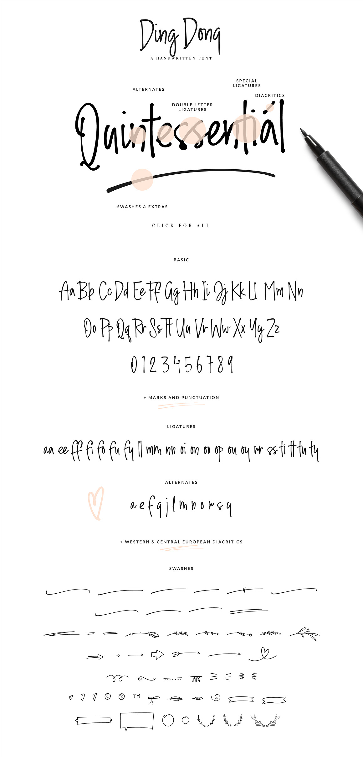 Handwritten Font Bundle  - Script