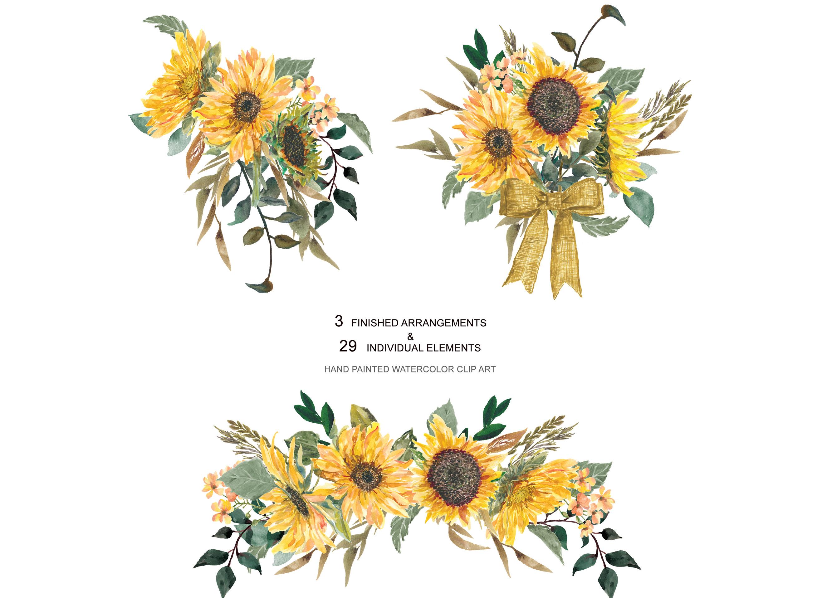 Hand Painted Sunflower Clip Art ~ Illustrations ~ Creative ...