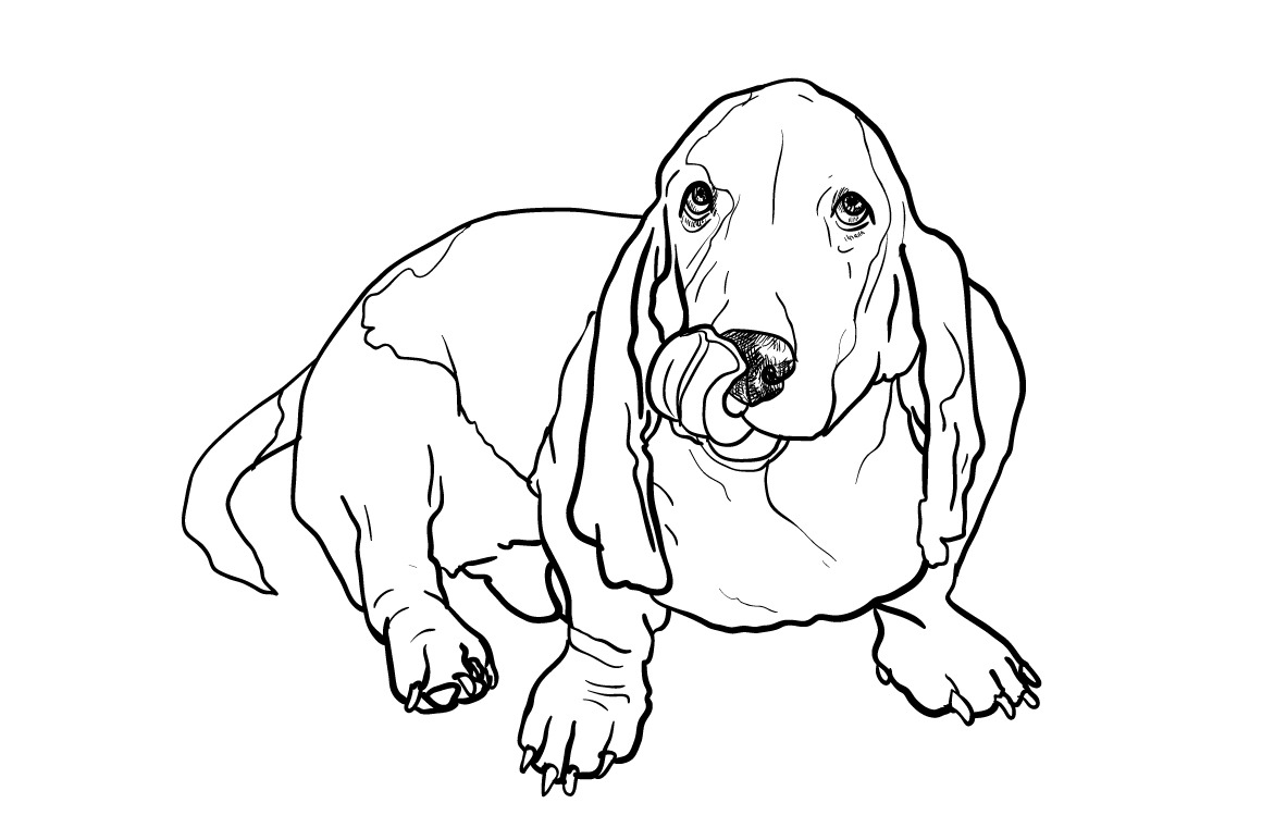 Download Basset Hound Coloring Book Printable Coloring Pages