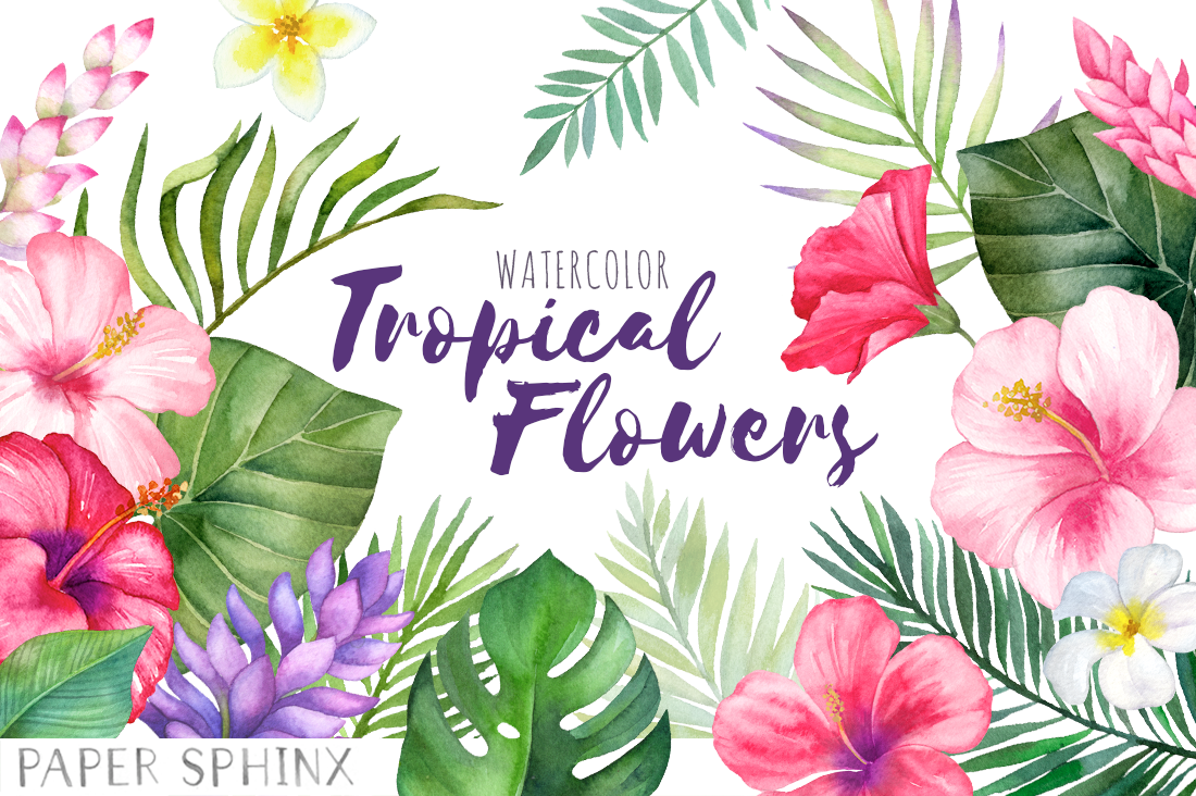 Watercolor Tropical Flowers Clipart ~ Graphics ~ Creative ...