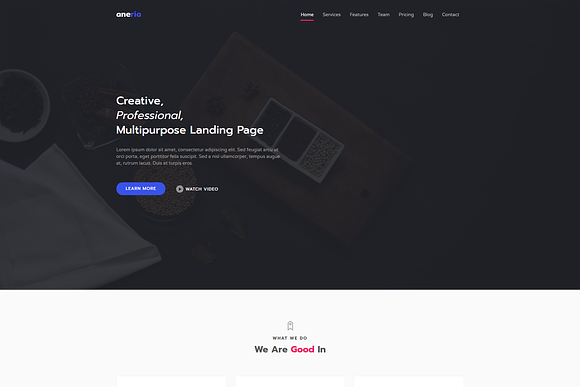 Aneria Landing Page Template