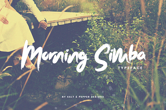 Morning Simba Font (ONLY $12) in Script Fonts