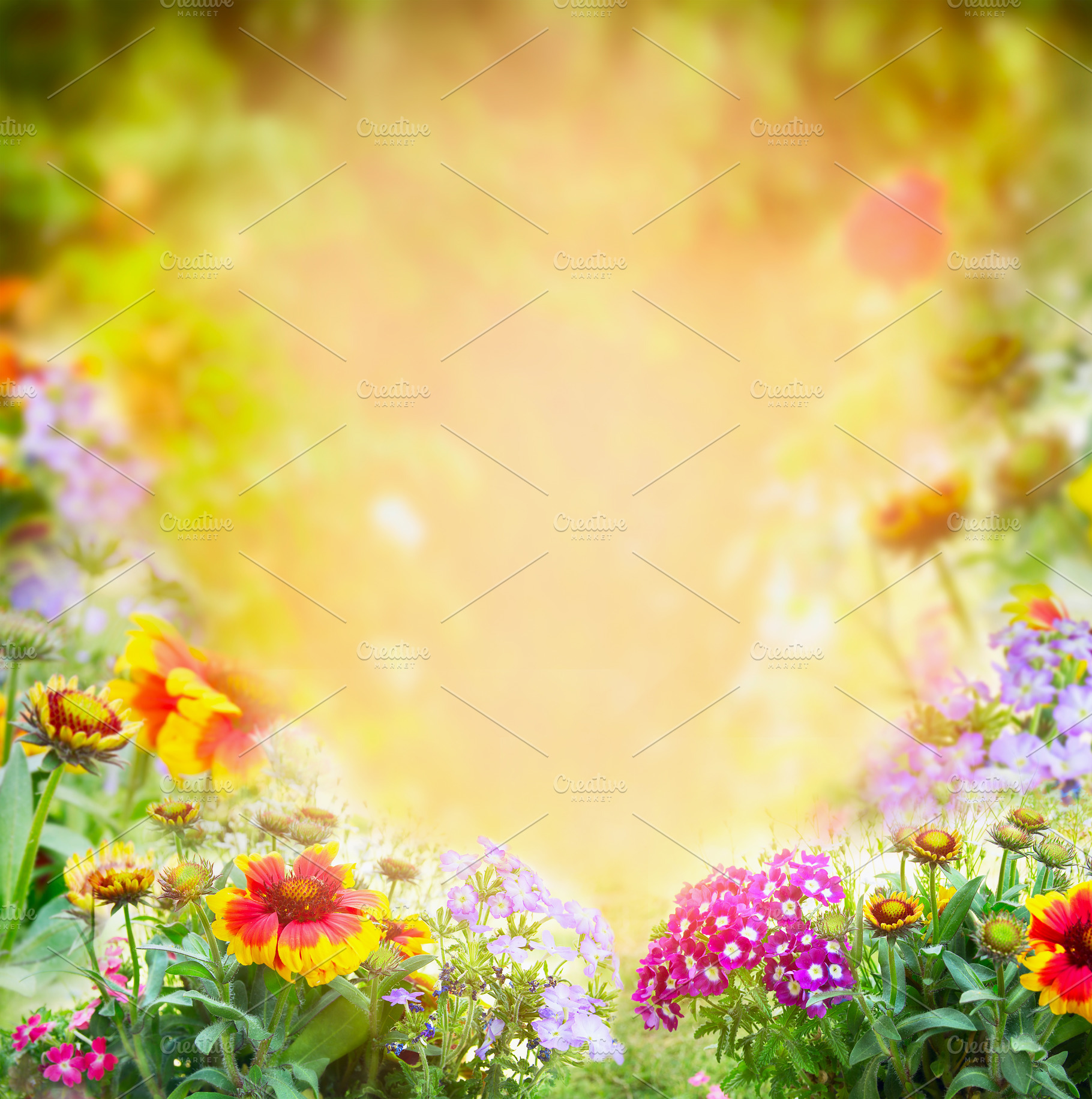 flowers garden background