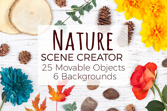 Download Nature Scene Creator - Top View