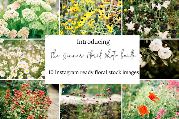 10 Floral Stock Photos for Instagram in Instagram Templates