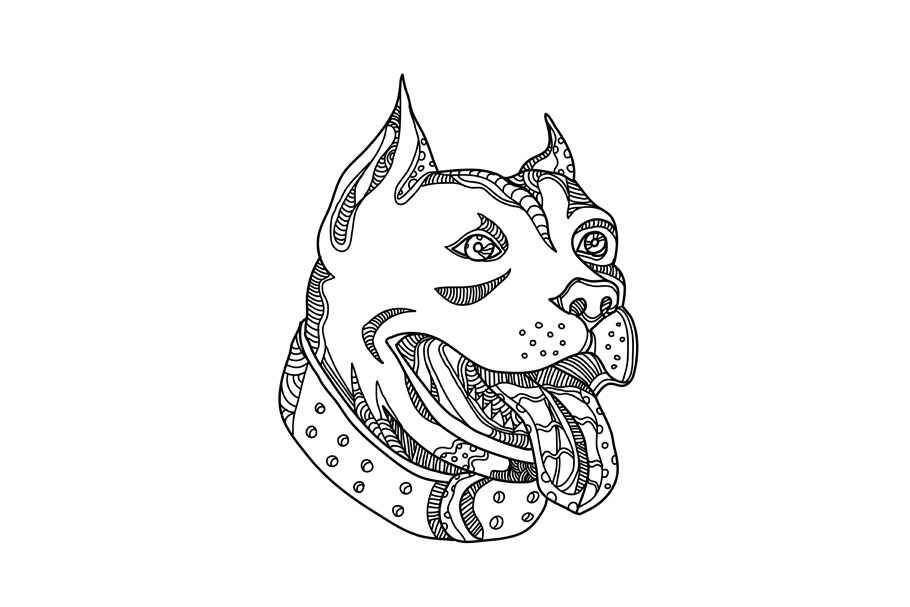 Download Pit Bull Head Doodle Art ~ Illustrations ~ Creative Market