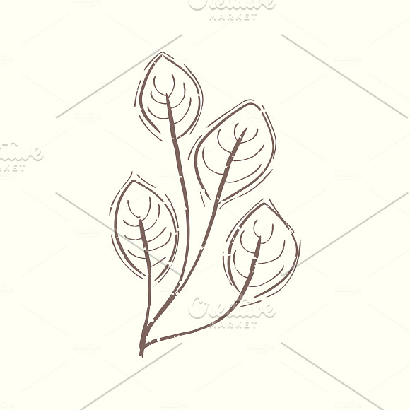 Illustration of plant in Illustrations