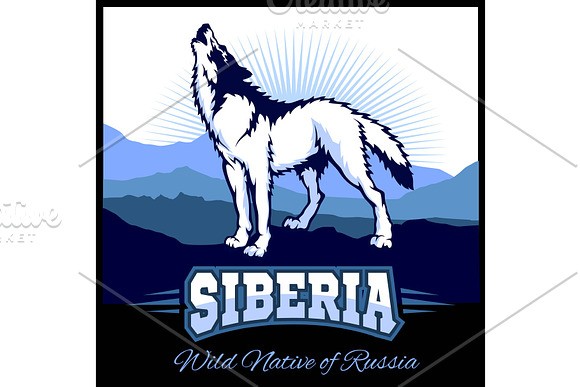 Siberia A Wolf On The Background Of The Plain Of Russian Siberia