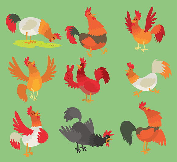 Vector Rooster Cock Chicken Cartoon