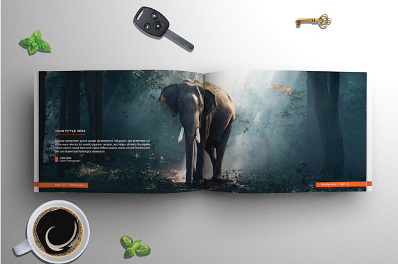 A4 Photography Portfolio in Brochure Templates - product preview 12