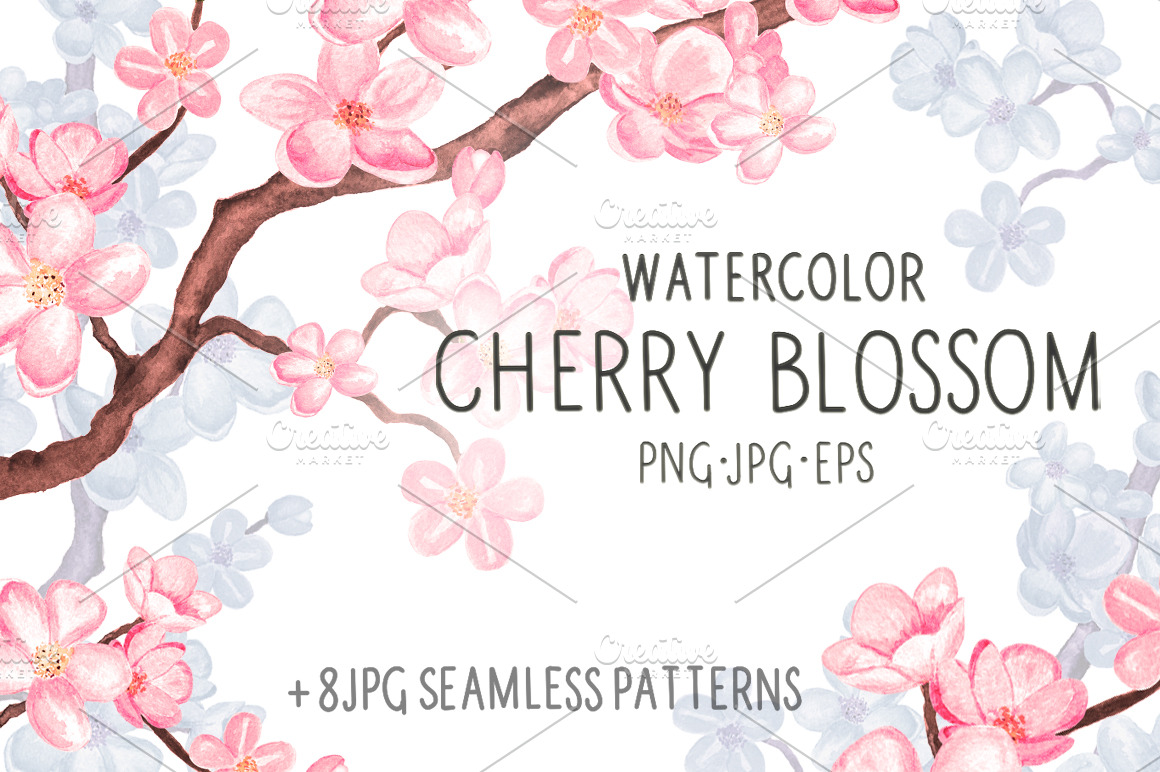 Watercolor cherry blossom ~ Illustrations ~ Creative Market