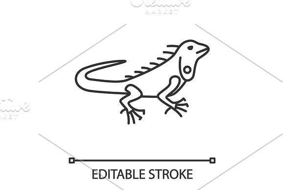 Iguana Linear Icon