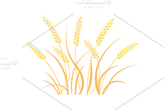 Wheat Field Background Cereals Icon Set