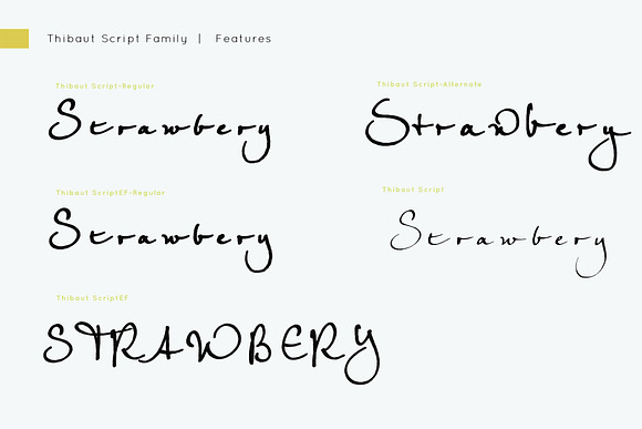Thibaut Script Family in Script Fonts - product preview 7