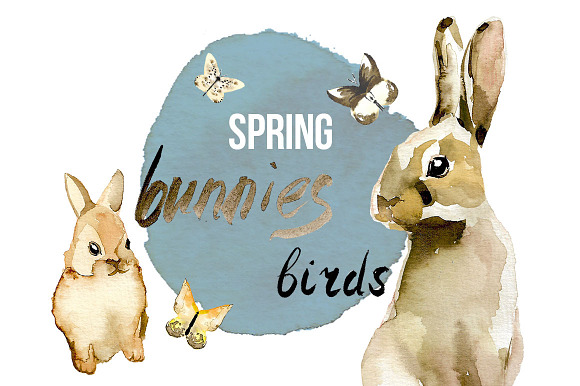 Spring Birds And Bunnies