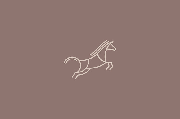 Jumping Horse Logo Template