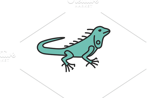 Iguana Color Icon