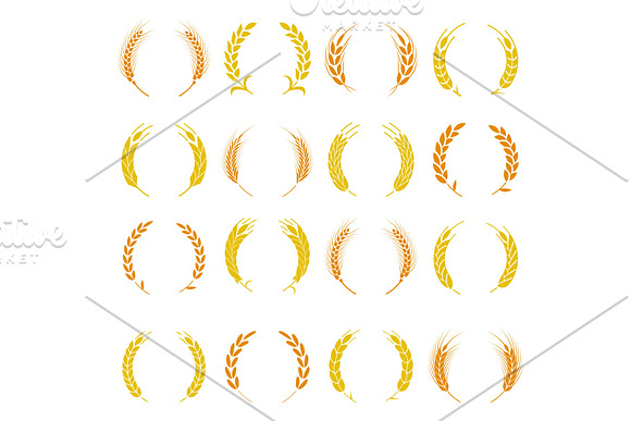 Wheat Ear Symbols For Logo Design