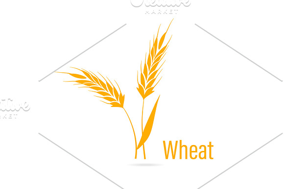 Gluten Free Icon Ears Of Wheat