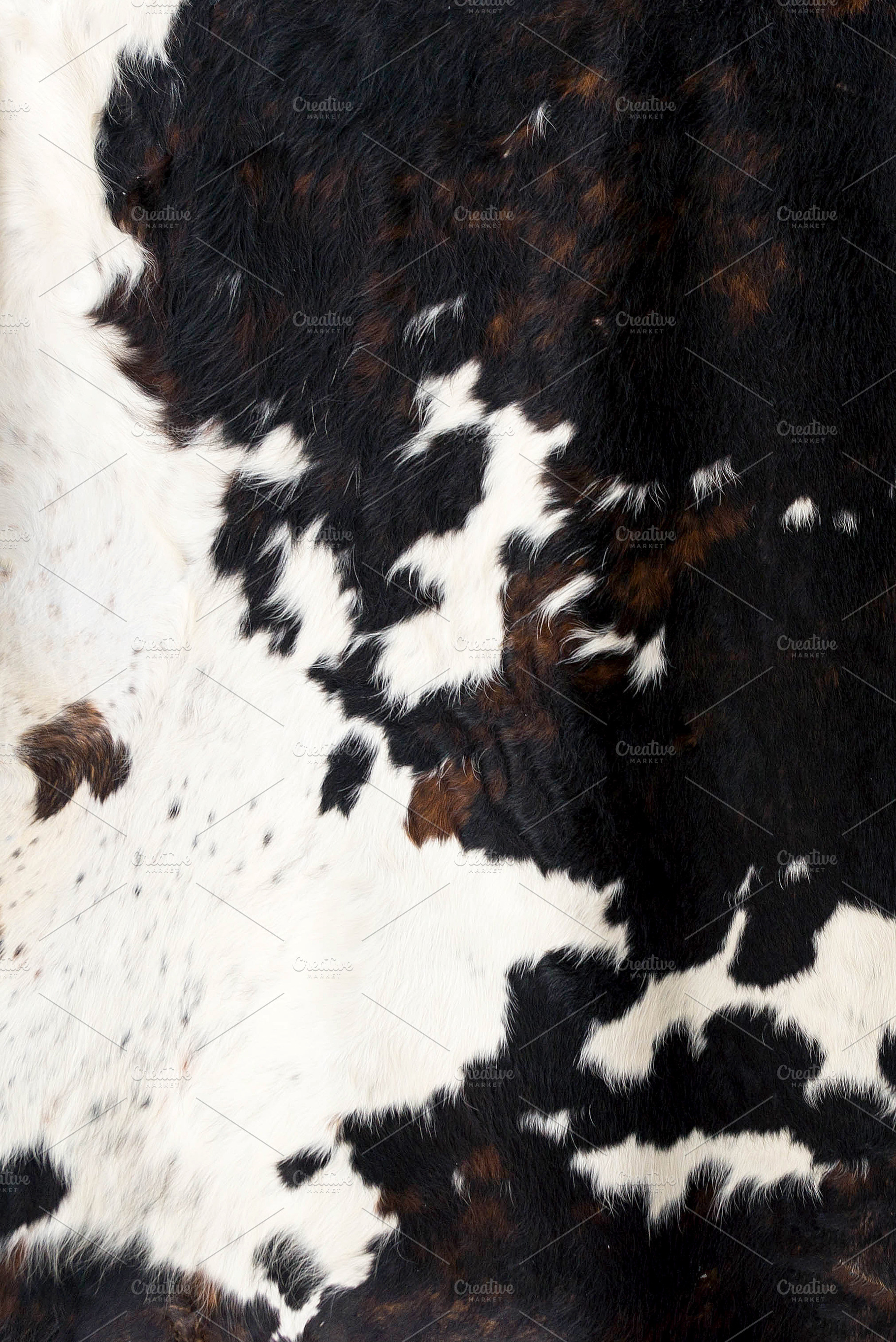 Cow skin Pattern texture black white Holiday Photos
