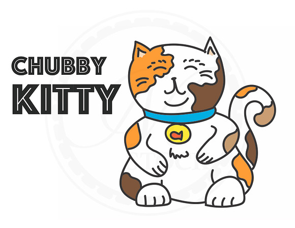 Chubby Kitty