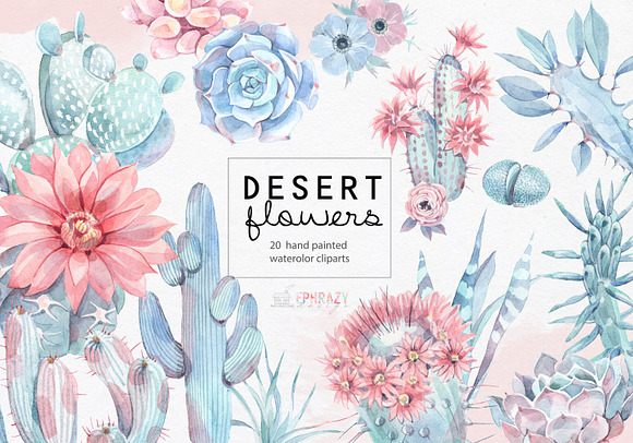 Desert Flowers Cacti Clipart