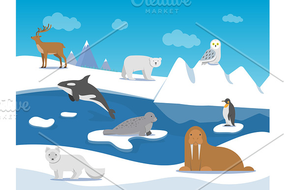 Arctic Landscape With Different Polar Animals