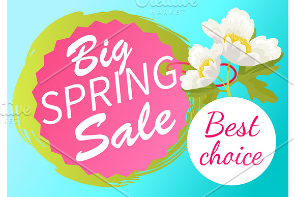 Best Choice Big Spring Sale Adver Tag Label Poster