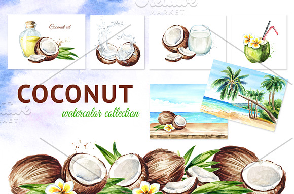 Coconut Watercolor Collection