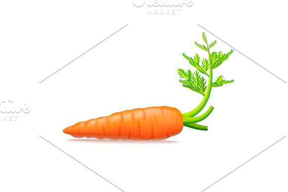 Realistic 3D Carrots Set Vector
