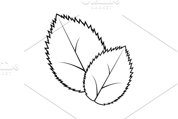 Leaf Line Icon Vector Illustration