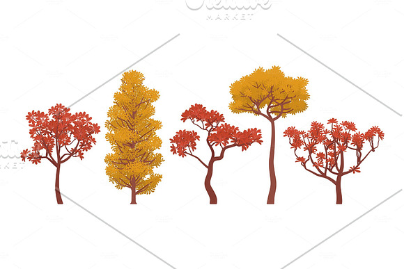 Autumn Trees Collection