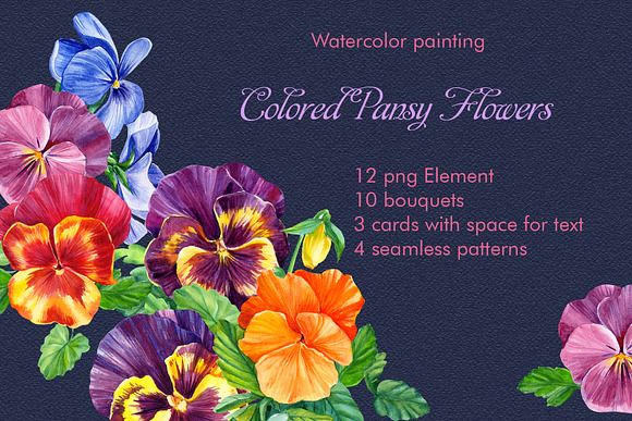 Colored Pansies Flowers
