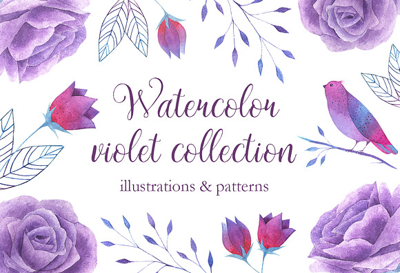 Watercolor Violet Collection