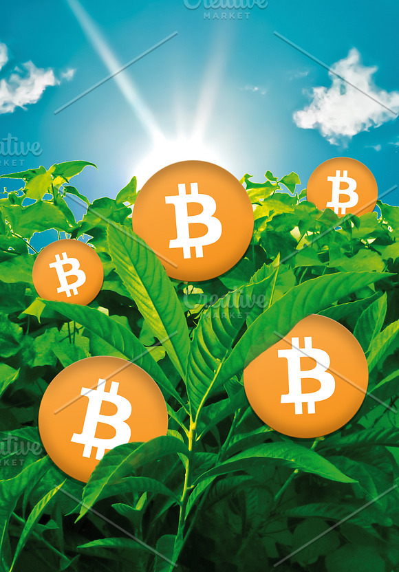 Bitcoins Growing At Nature Digital Composition