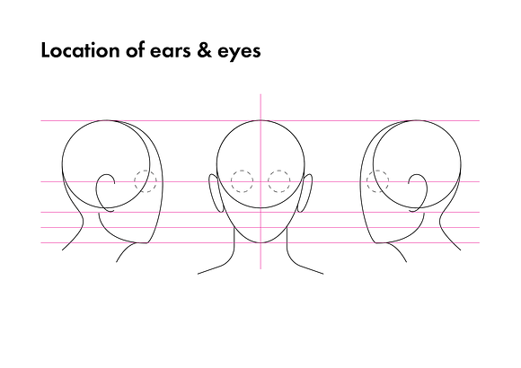 Anatomy Drawing Aid The Human Head