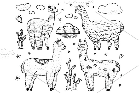 Set Of Cute Alpaca Llamas Or Wild Guanaco On The Background Of Cactus And Mountain Funny Smiling Animals In Peru For Cards Posters Invitations T-shirts Hand Drawn Elements Engraved Sketch
