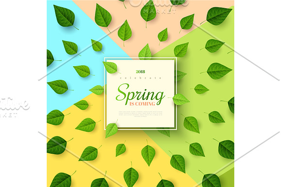 Spring Background With Green Leaves