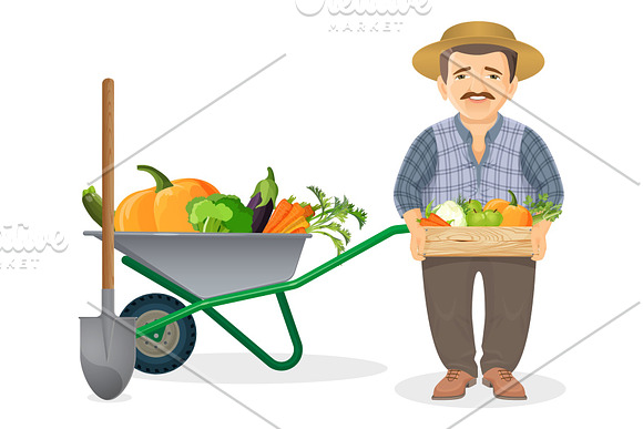Farmer With Harvest In Metal Cart And Wooden Box