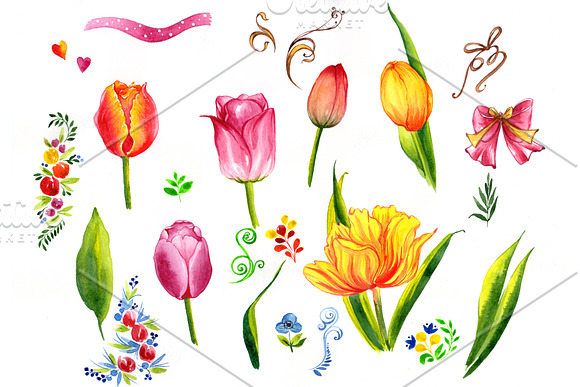 Summer Colorful Tulips PNG Set