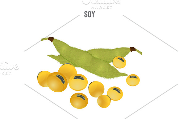 Ripe Soy Beans That Replace Meat For Vegetarians