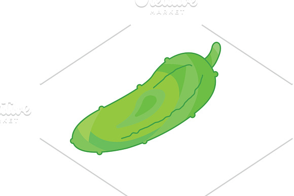 Color Vector Illustration Cucumber