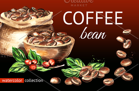 Coffee Bean Watercolor Collection