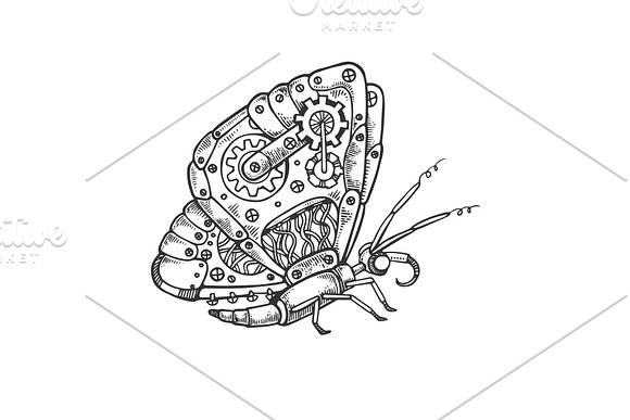Mechanical Butterfly Animal Engraving Vector