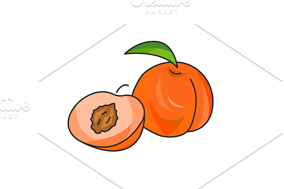 Peach Vector Icon On A White