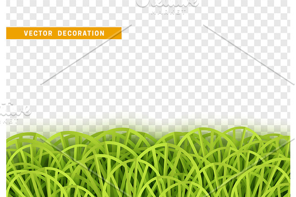 Grass Shape Plant Leaves Border Isolated With Transparent Background