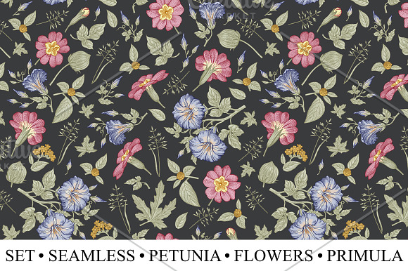 Set Seamless Flowers Petunia