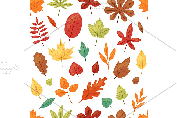 Autumn Leaf Vector Autumnal Leaves Falling From Fallen Trees Leafed Oak And Leafy Maple Or Leafing Foliage Illustration Fall Of Leafage Set With Leafage Isolated Seamless Pattern Background