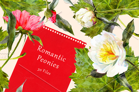 Romantic Peonies Watercolor Set