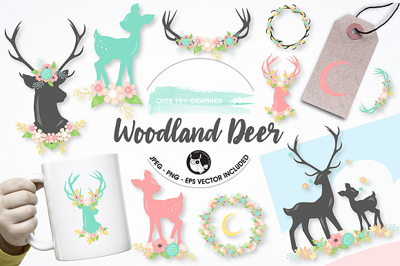 Woodland Deer Graphics Illustrations